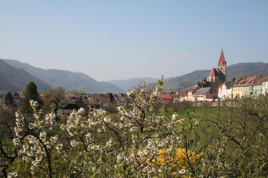 Donauhof - Hotel Garni ไวส์เซินเคียร์เชิน อินแดร์ วาคเอา ภายนอก รูปภาพ